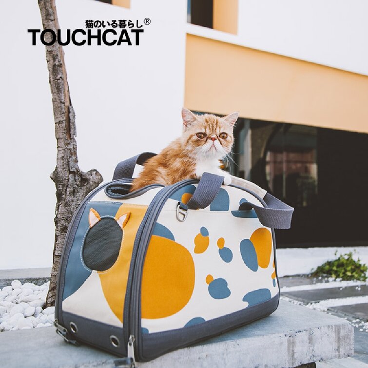 Designer cat clearance carrier